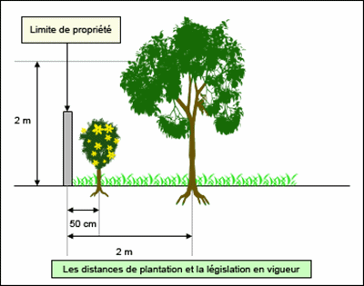 legislation-distance-plantation1.gif