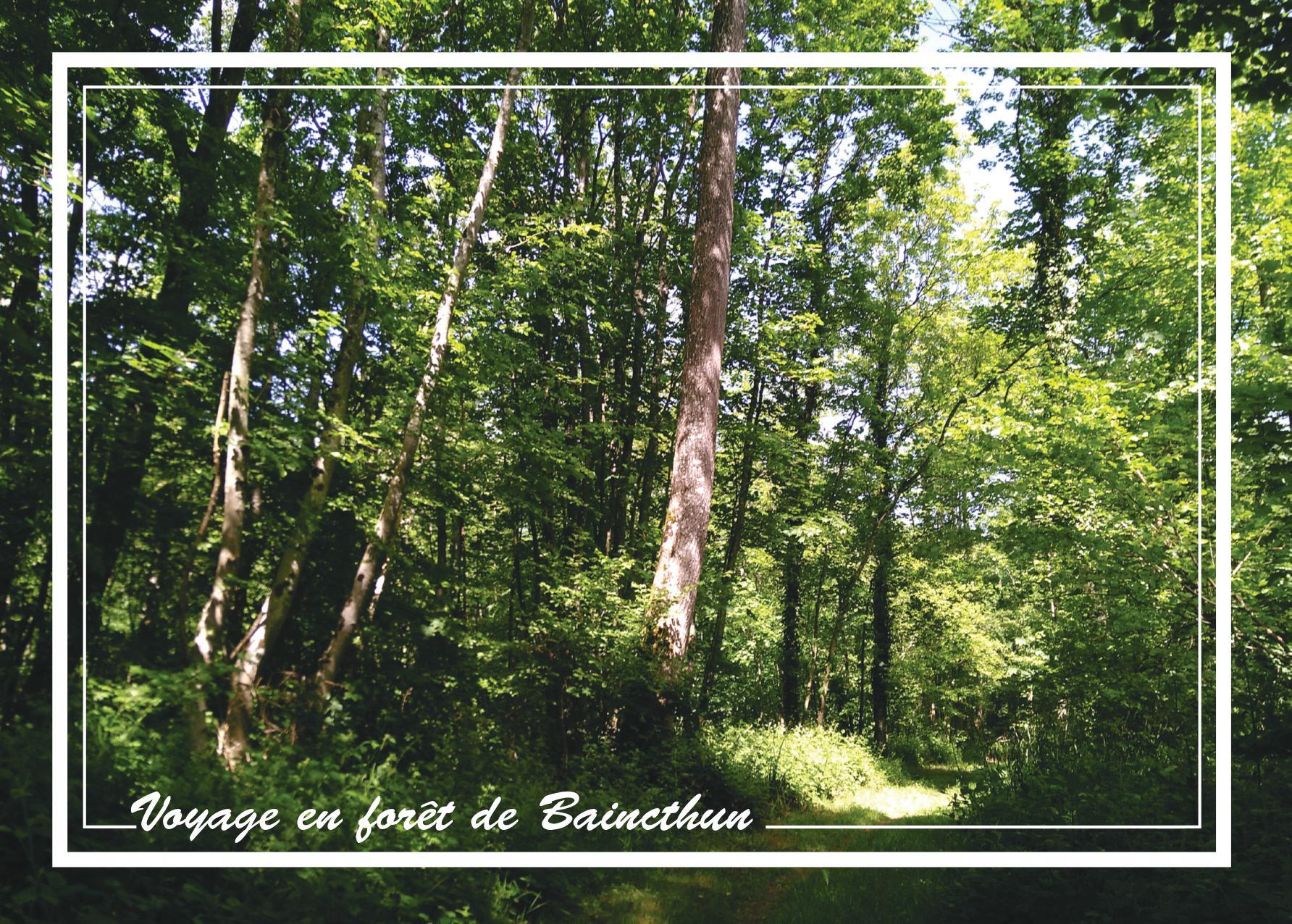 Rencontre sur la valorisation de la forêt domaniale et de la maison forestière
